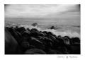 Shores of Madeira